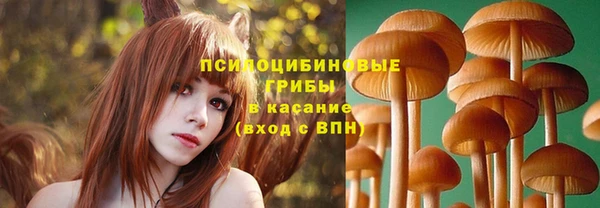 стафф Балахна