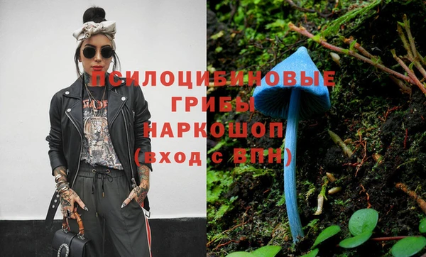 шишки Арсеньев