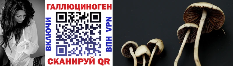 Галлюциногенные грибы прущие грибы  Большой Камень 