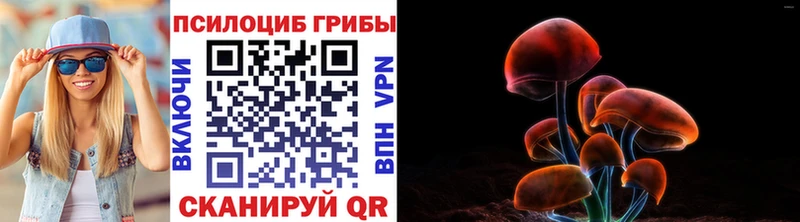Псилоцибиновые грибы Psilocybine cubensis Большой Камень